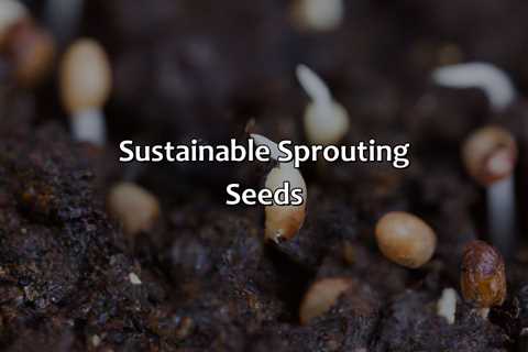 Sustainable Sprouting Seeds