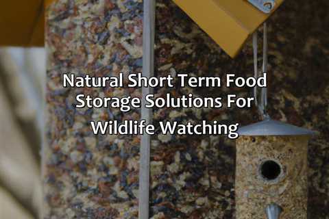 Natural Short Term Food Storage Solutions For Wildlife Watching