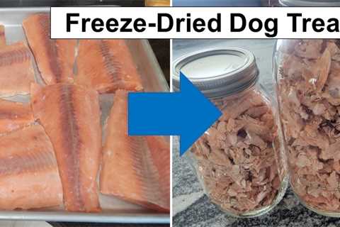 Freeze-Dried Dog Treats (Pink Salmon)