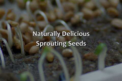 Naturally Delicious Sprouting Seeds