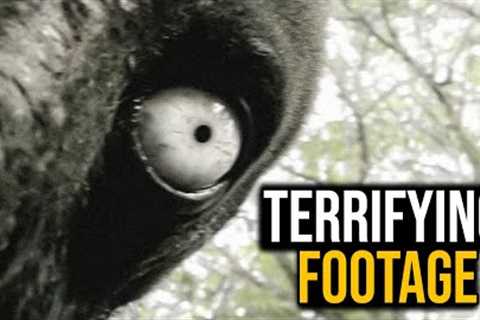 Mega Compilation Of The Most SHOCKING Trail Cam Footage