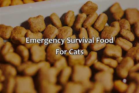 Emergency Survival Food For Cats