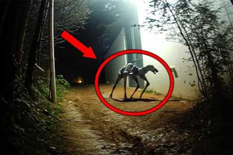 20 Creepy Cryptid Sightings Caught on Film