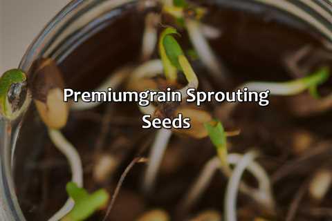 Premium-Grain Sprouting Seeds