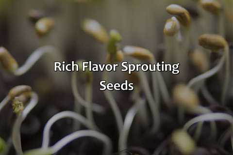 Rich Flavor Sprouting Seeds