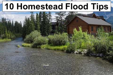 10 Tips for Avoiding Flooding on Your Homestead