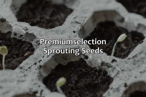 Premium-Selection Sprouting Seeds