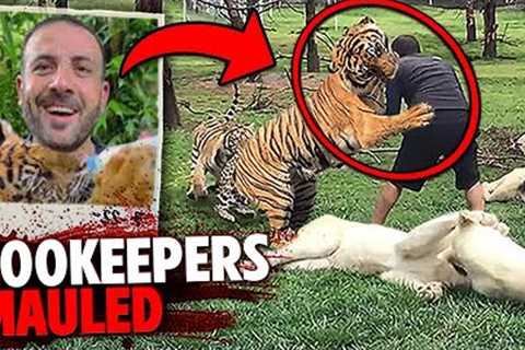 These 3 Zookeepers Were FATALLY MAULED In Front Of Visitors And Staff!