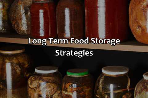 Long Term Food Storage Strategies