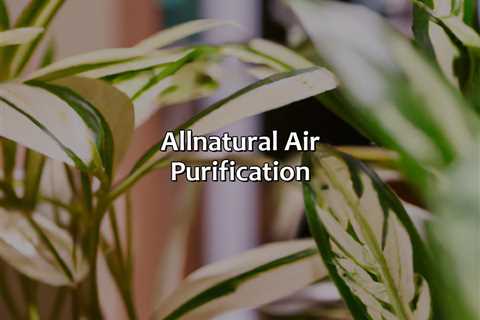 All-Natural Air Purification