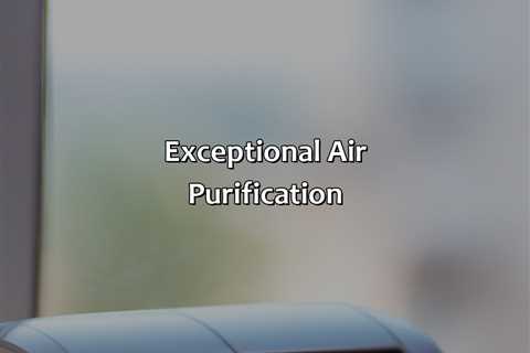 Exceptional Air Purification