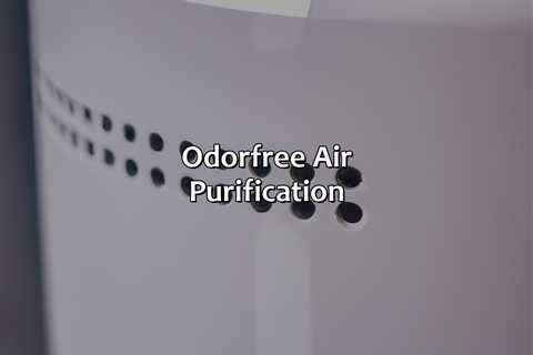 Odor-Free Air Purification