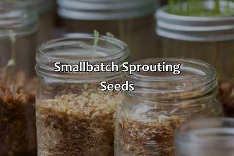 Small-Batch Sprouting Seeds