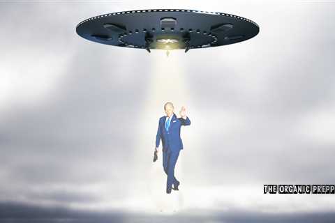 The US Government and the Bidens Are…Wait! Look! UFOs! Aliens!