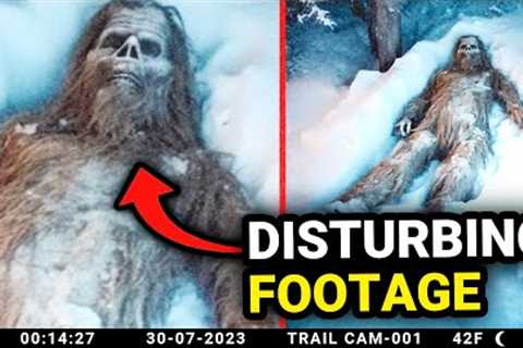 Recent Trail Cam Footage That Will Terrify You