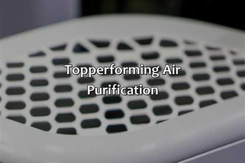 Top-Performing Air Purification