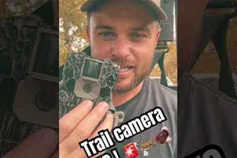 Trail camera tips ! #deerhunting #500subs #hunting #outdoors #trailcam