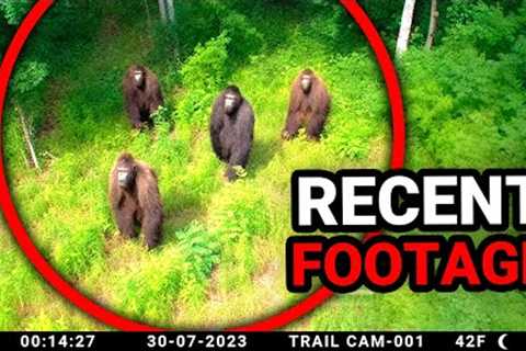 New Disturbing Trail Cam Footage No One Ever Reviewed.