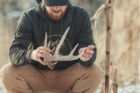 Where To Find Sheds