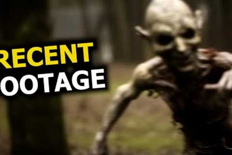 Most Creepy Creatures Ever Caught on Recent Trailcam Footage