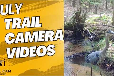 July Trail Camera Videos