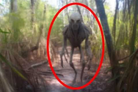 Scary Trail Cam Footage That Went Viral Overnight