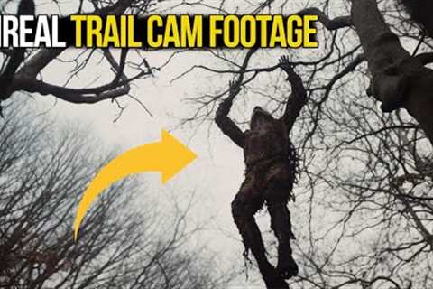 The World''s Most Shocking Trail Cam Captures - Stay Till the End!