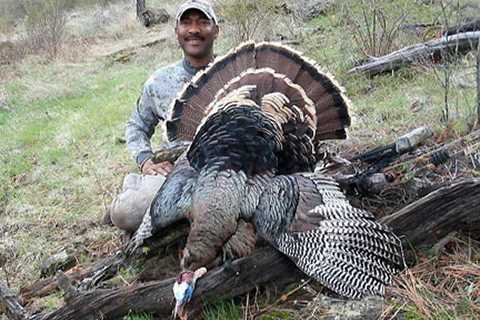 Portable Blinds For Wild Turkey Bowhunters