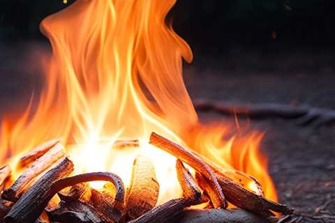 Tinder vs Kindling: Which to Use for Camping?