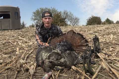 Mid Day Gobbler Bowhunt In Iowa