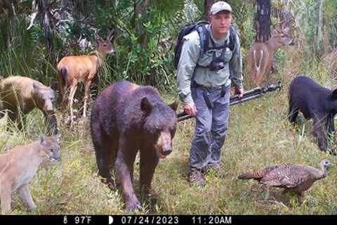 Tim Harrell Big Cypress National Preserve Trail Camera Pickup