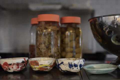 Fermentation Techniques for Prolonged Food Preservation