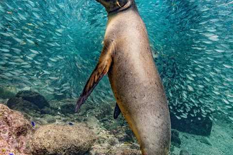 The Winners of the Nature Photography Contest Will Ignite Your Love for the World