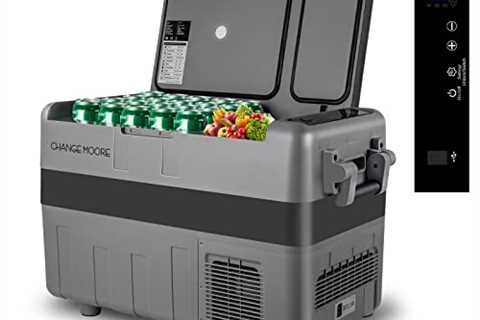 CHANGE MOORE Electric Cooler For Vehicles - The Camping Companion