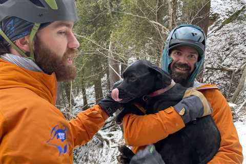 Lost Your Dog in a National Park? Here’s What to Do