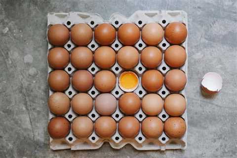9 Best Dehydrated Egg Proteins for Emergency Preparedness