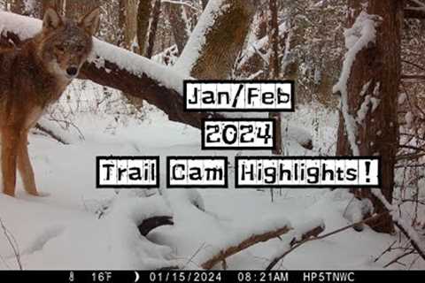 Trail Cam Highlights from Jan/Feb 2024!