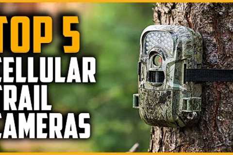 Best Cellular Trail Cameras 2024 | Top 5 Best Cellular Trail Camera Reviews