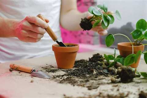 Boost Your Garden’s Growth: Must-Have Environmental Tools for Soilless Gardening