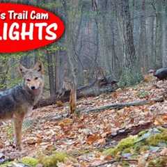 Never Know What Shows up on Public Land Camera: Thursday''s Trail Cam Highlights: 5.2.24