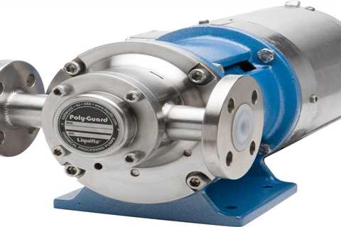 Fluoropolymer-Lined Stainless Steel Gear Pump - ctsolutions.mn