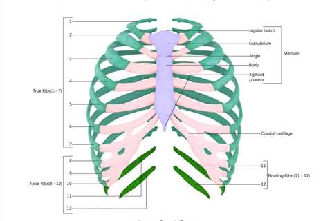 How to Treat Penetrating Chest Wounds