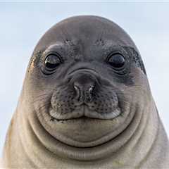 New Zealand Bar Gets A Surprise Visitor