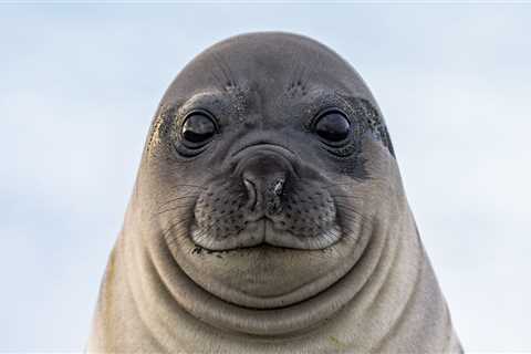 New Zealand Bar Gets A Surprise Visitor