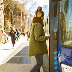 Wild Turkey Causes Traffic Jam At A Crosswalk In N.Y.C.